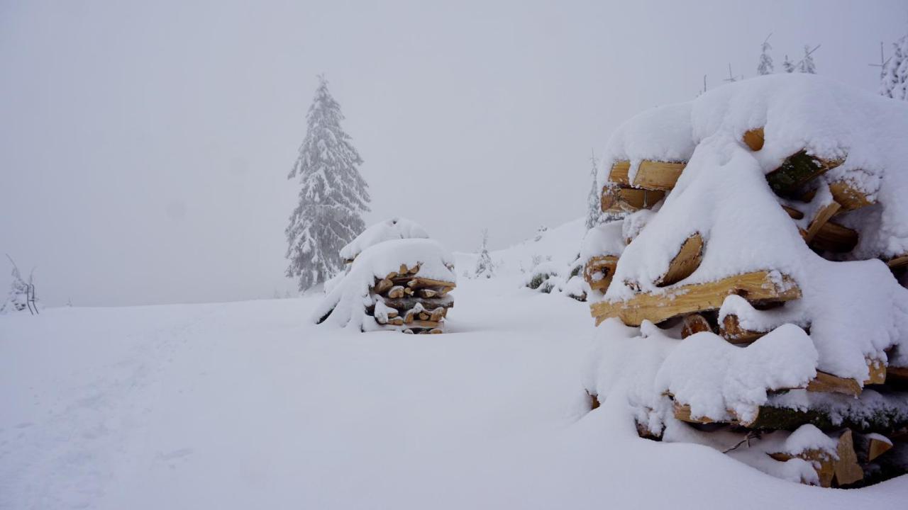 Chaume De Balveurche Hotel Xonrupt-Longemer Bagian luar foto